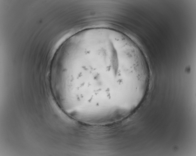 X0000115180805200911251355