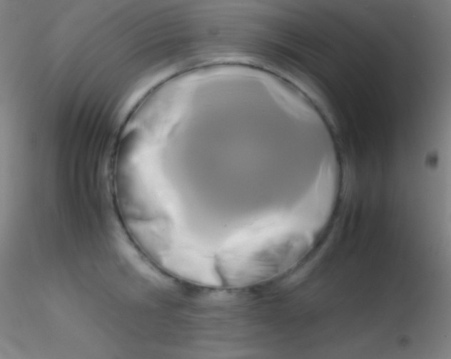 X0000115180806200911251355
