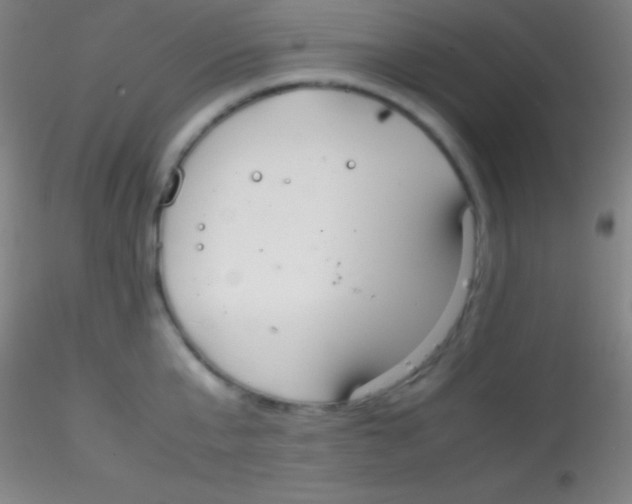 X0000115180807200911251355