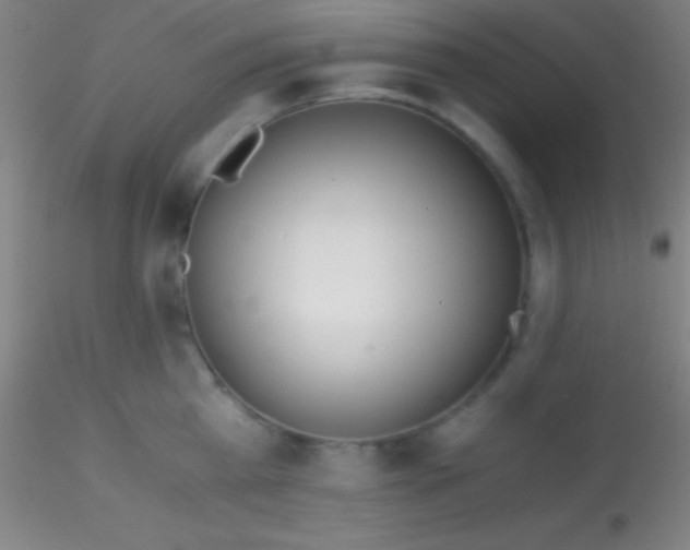 X0000115180809200911251355