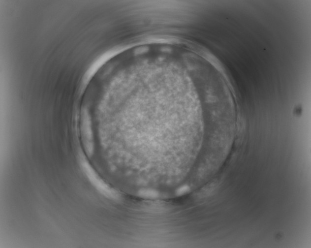 X0000115180811200911251355