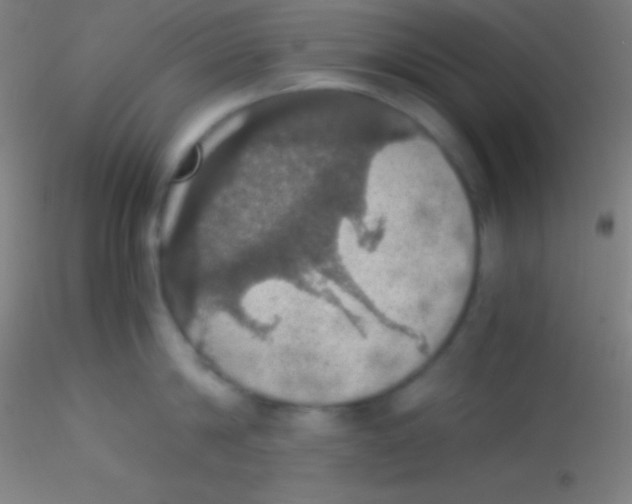 X0000115180814200911251355