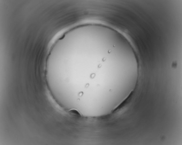 X0000115180815200911251355