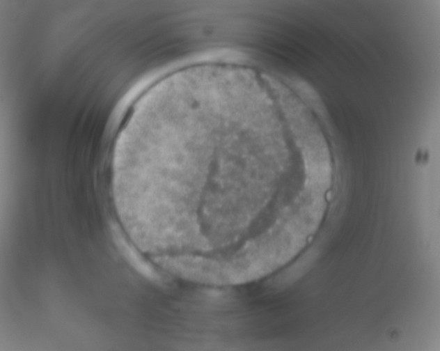 X0000115180816200911251355