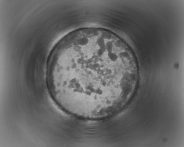 X0000115180839200911251355
