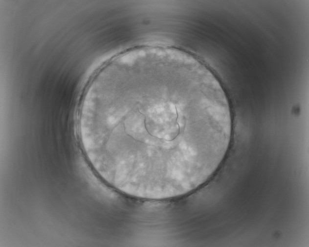 X0000115180840200911251355