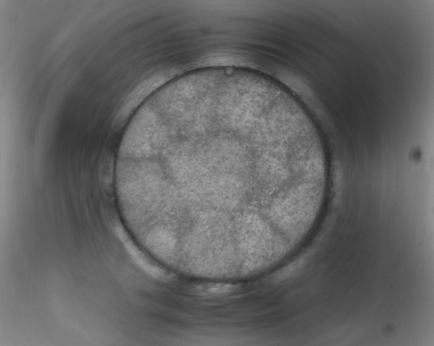 X0000115180841200911251355