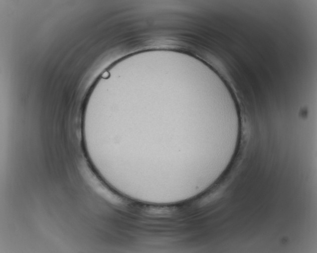 X0000115180843200911251355