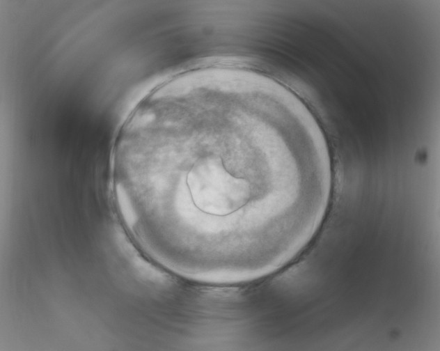 X0000115180844200911251355