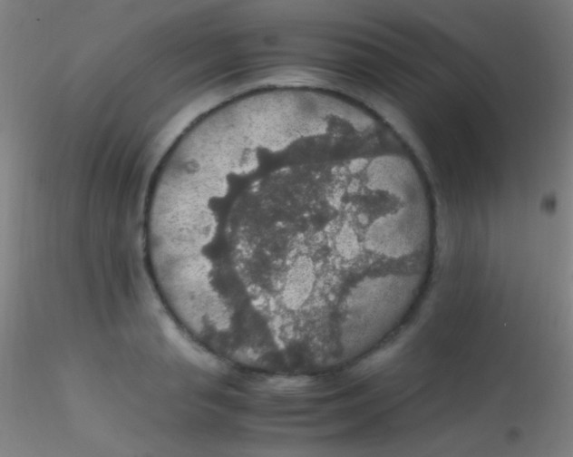 X0000115180845200911251355
