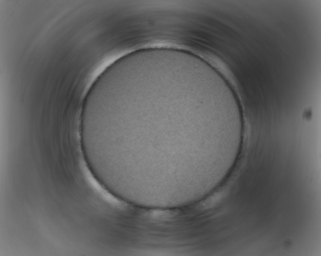X0000115180847200911251355