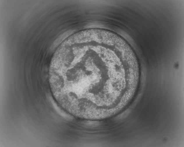 X0000115180849200911251355