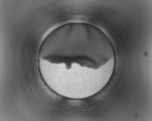 X0000115180853200911251355