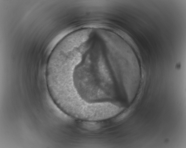 X0000115180855200911251355