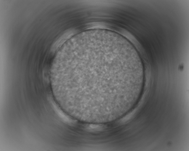 X0000115180857200911251355