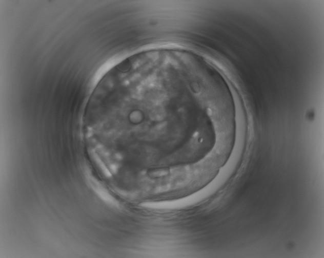 X0000115180858200911251355