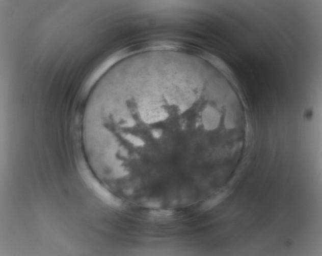 X0000115180859200911251355