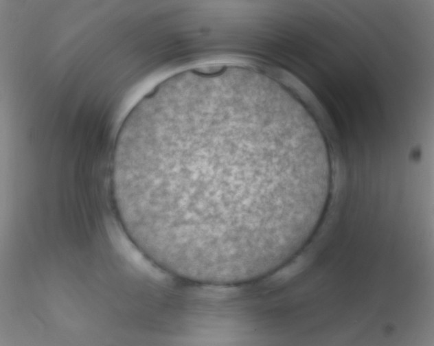 X0000115180860200911251355