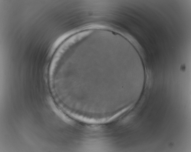 X0000115180862200911251355