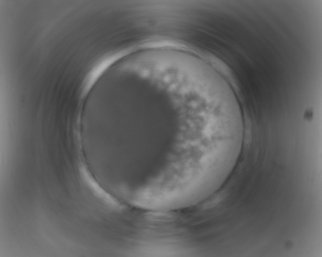 X0000115180863200911251355