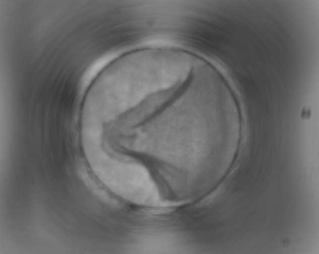 X0000115180864200911251355