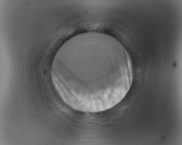 X0000115180913200911251353
