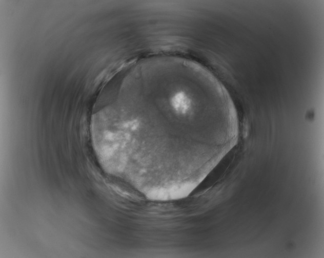 X0000115180915200911251353