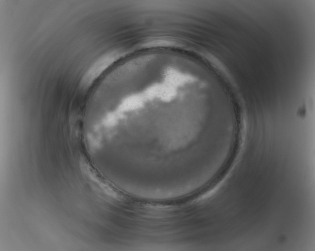 X0000115180921200911251353