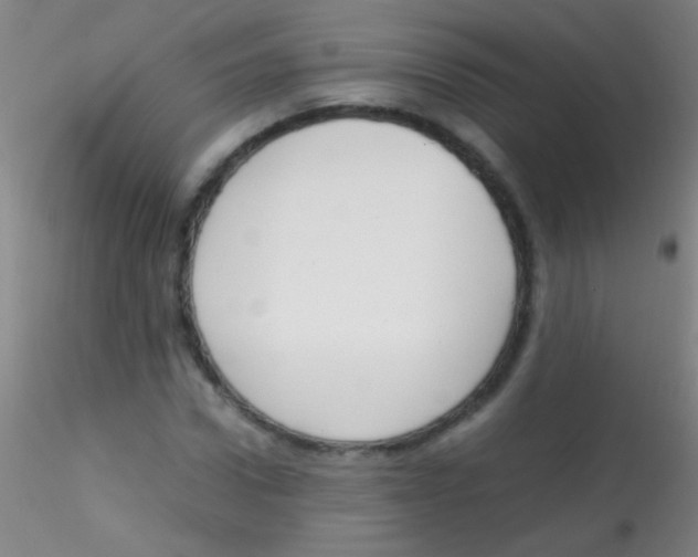 X0000115180922200911251353