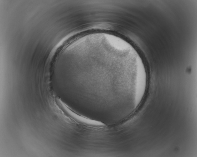 X0000115180923200911251353