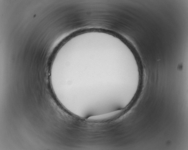 X0000115180925200911251353