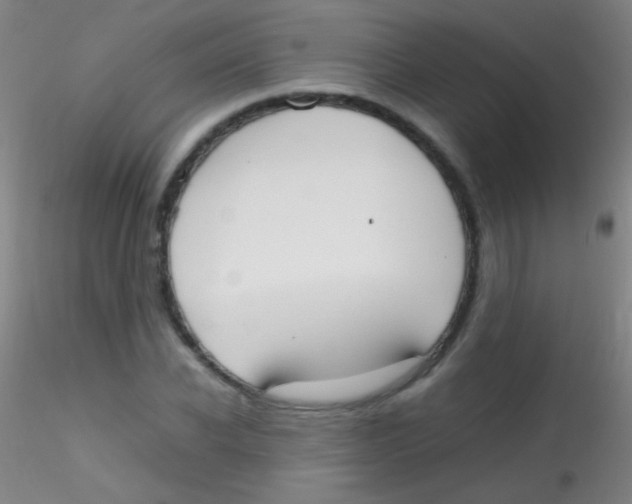 X0000115180926200911251353