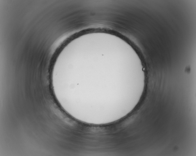X0000115180927200911251353
