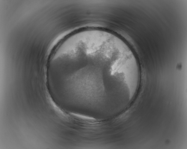 X0000115180935200911251353