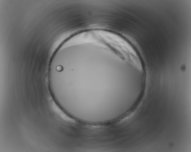 X0000115180941200911251353