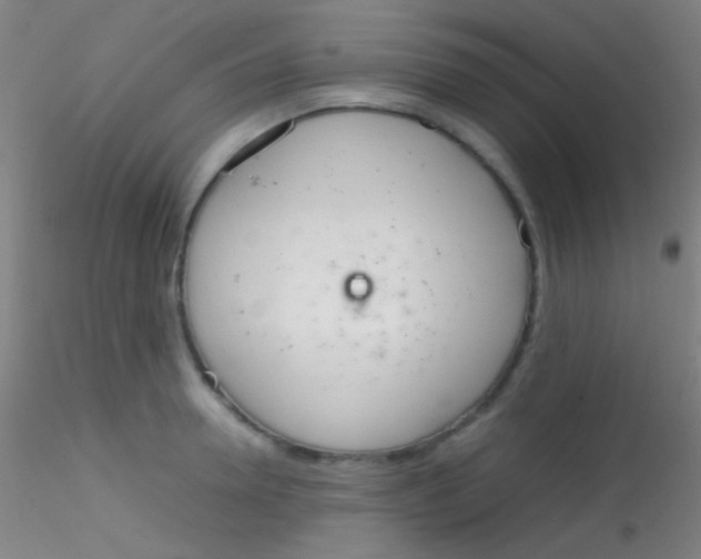 X0000115180946200911251353