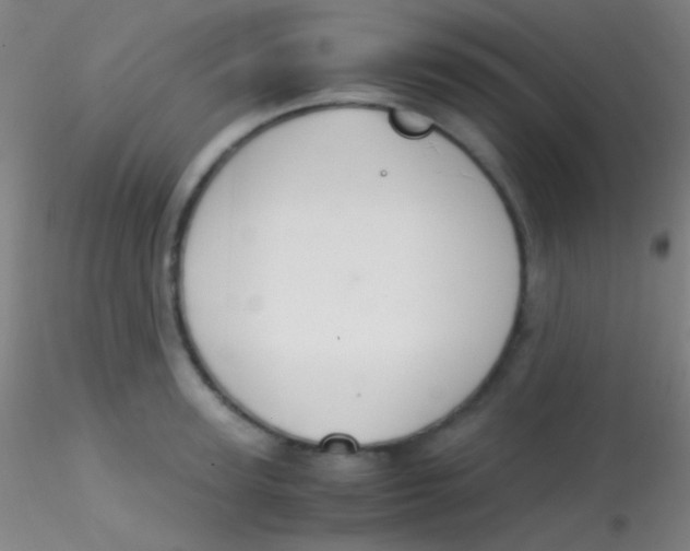 X0000115180947200911251353