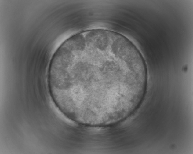 X0000115180949200911251353