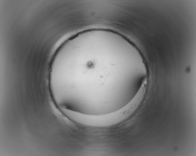 X0000115180950200911251353