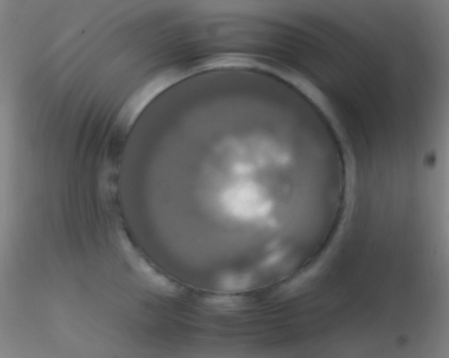 X0000115180953200911251353