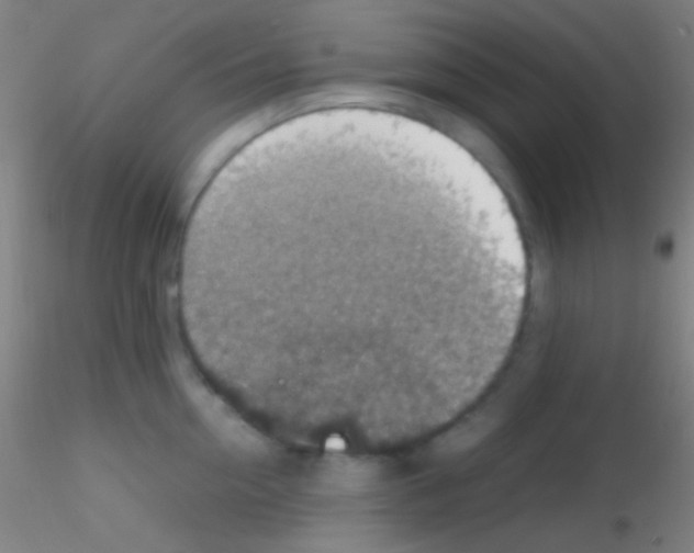 X0000115180954200911251353
