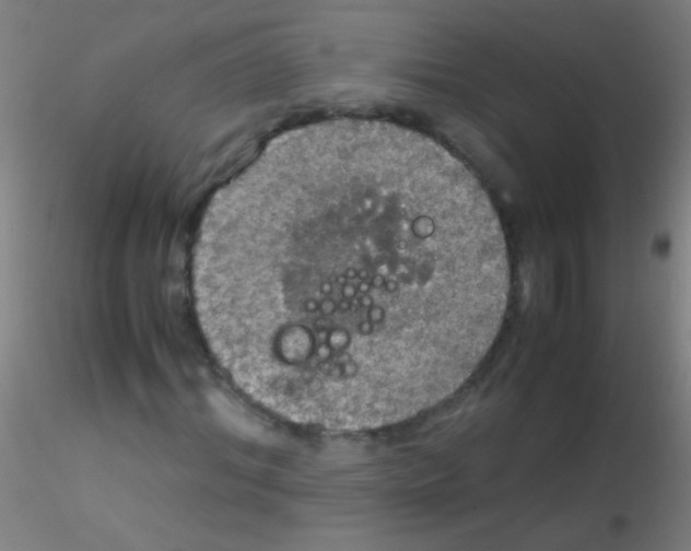 X0000115180964200911251353