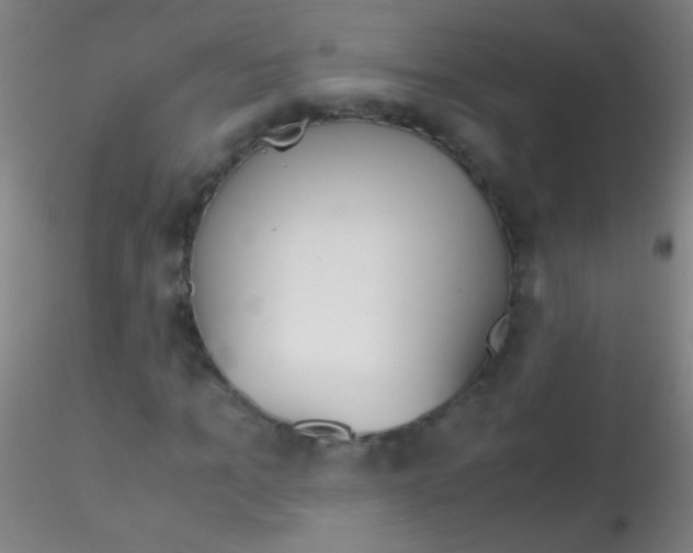 X0000115180965200911251353