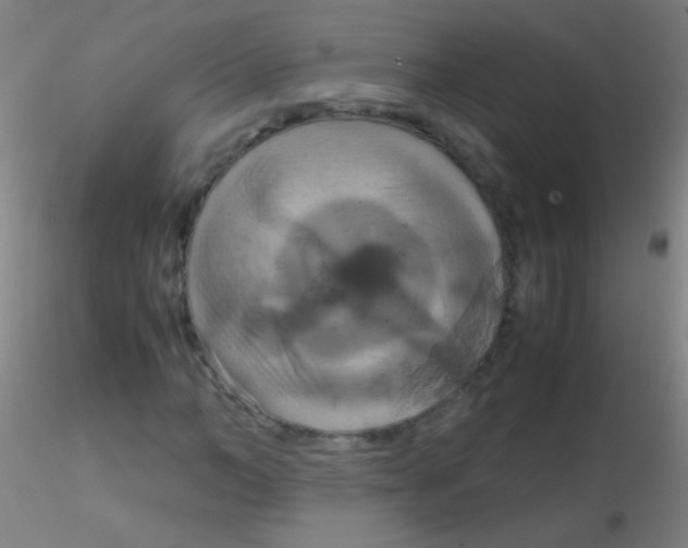 X0000115180966200911251353