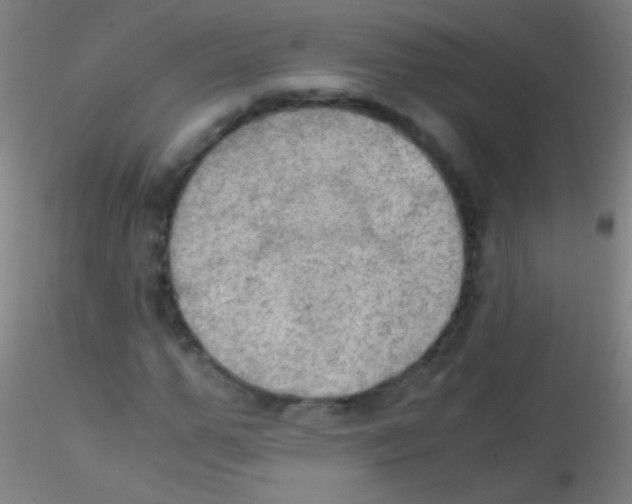 X0000115180967200911251353