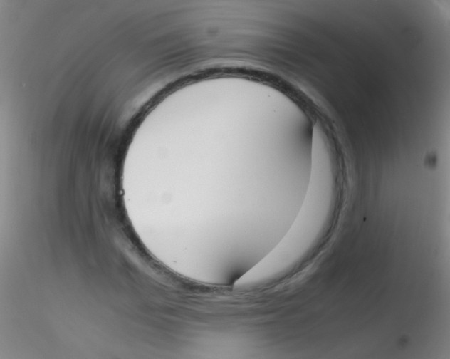 X0000115180969200911251353
