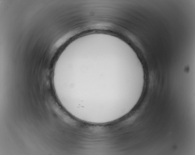 X0000115180970200911251353