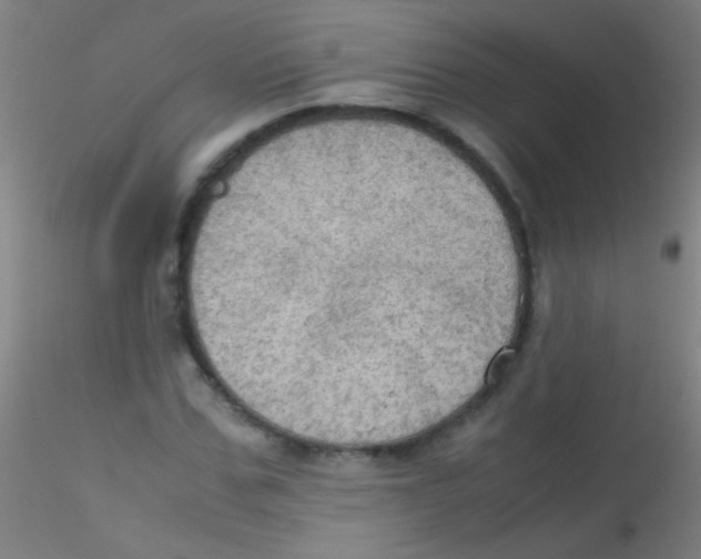 X0000115180971200911251353
