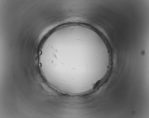 X0000115180973200911251353