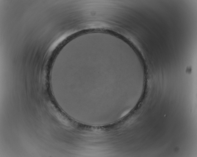 X0000115180975200911251353
